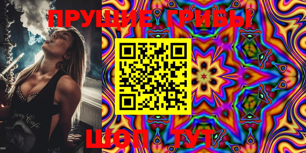 Кувандык  Псилоцибиновые грибы Psilocybe  Вход с VPN 